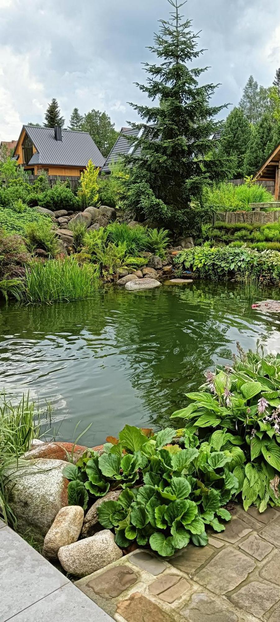 Apartament Nad Stawem 자코파네 외부 사진