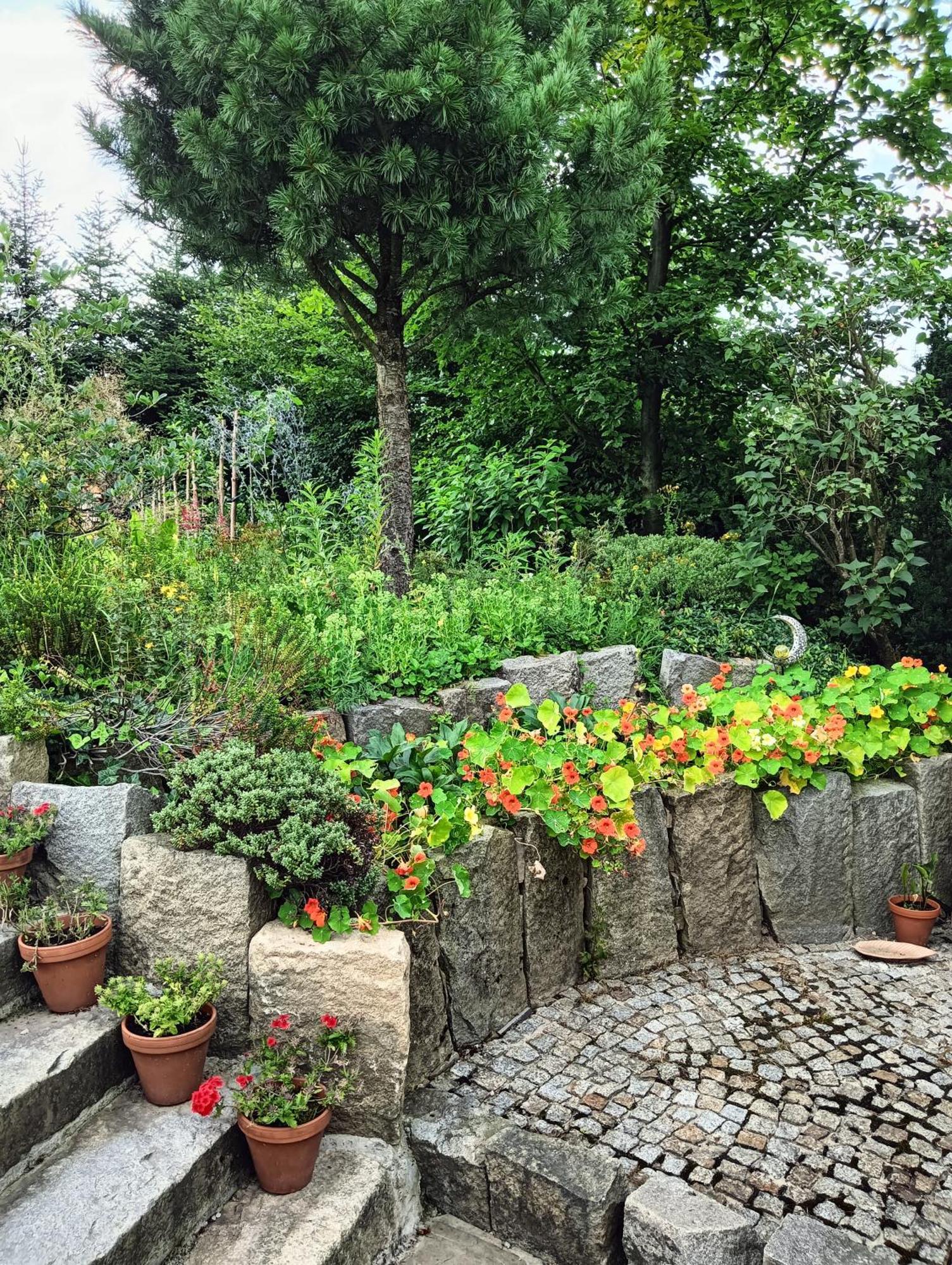 Apartament Nad Stawem 자코파네 외부 사진